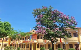 Khởi tố nam sinh lớp 11 đánh học sinh lớp 9 tử vong