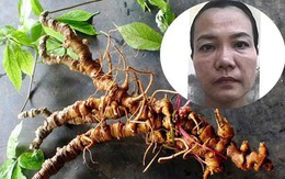 Bắt tạm giam Trương Thị An