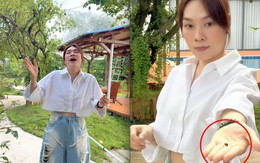 Mỹ Tâm khoe "tài sản khủng", có tiền chưa chắc mua được