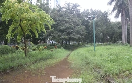 ‘Lá phổi xanh’ giữa trung tâm Thủ đô thành nơi hoang phế