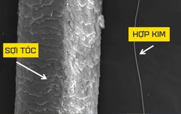 Phát minh hợp kim "nhỏ hơn tóc người trăm lần" có thể chao đảo cả thế giới