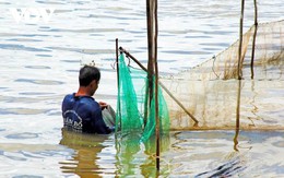 Liên hợp quốc khởi động dự án 5 triệu USD, rót vốn cho nông dân Việt Nam