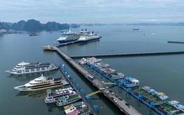 Khung cảnh ở Hạ Long ngay lúc này khiến nhiều người tò mò, nhận xét: "Ở đây đang thực sự có gì?"