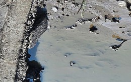 Phát hiện bộ hài cốt trong ao nuôi cá của người dân Hải Phòng