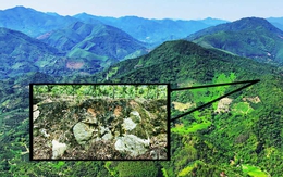 "Bãi đáp” rộng 900 m của vật thể ngoài hành tinh lộ ra ở Quảng Đông