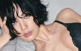 Mỹ nhân đẹp nhất thế giới và mẹ bị thương nặng trong lúc khống chế kẻ cướp