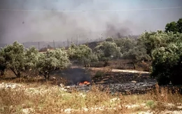 Israel thiết lập vùng quân sự ở Bờ Tây, ngăn cản người Palestine thu hoạch ô liu