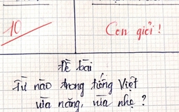 Từ nào trong Tiếng Việt vừa nặng, vừa nhẹ? - Trả lời đúng, bạn lọt top 1% người thông minh nhất!