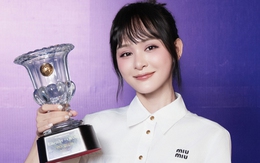 Hiền Hồ tự nhận là nạn nhân