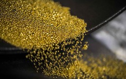 Giá vàng thế giới sẽ đi về đâu? Đây là dự báo mới nhất từ các chuyên gia