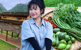 Cặp vợ chồng chi 3 tỷ xây nhà như cổ tích trên vùng núi Tuyên Quang: View triệu đô, 0 đồng rau củ