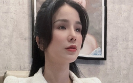 Diệp Lâm Anh xin lỗi