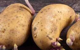 Sai lầm ai cũng mắc: Không phải thức ăn thừa mà 5 loại thực phẩm này mới là "kẻ giết người thầm lặng" trong bếp!