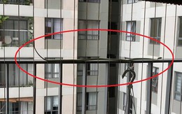 Nhà ở thành phố rắn vào bằng cách nào? Cách xử lý ngay nhiều người vẫn chưa biết