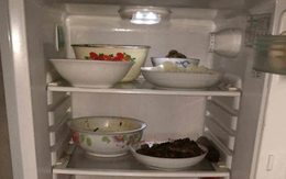 Có nên rút điện tủ lạnh khi đi xa?