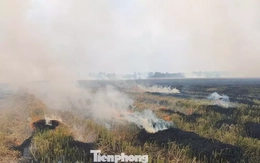 Sản xuất lúa phát thải thấp: Không đốt rơm, rạ gây ô nhiễm