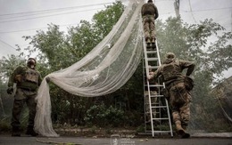 Giới quân sự Đài Loan (Trung Quốc) đang tìm mua số lượng lớn lưới và cọc tre: Chuyện gì đã xảy ra?