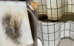 Làm ơn DỪNG MUA 8 thứ giá rẻ này: Đầu độc sức khỏe, rút ngắn tuổi thọ