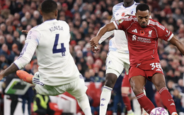 Salah chạm tay đến kỷ lục, Liverpool tìm lại niềm vui chiến thắng