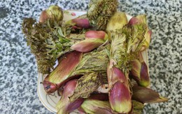 Loại rau người Trung Quốc ví là “cao lương mỹ vị số 1 thế giới”: Mọc hoang đầy Việt Nam, ít người biết