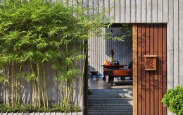 Không phải mê tín, 3 vị trí trong nhà ‘cấm kỵ’ đặt cây: Phạm phải dễ làm tài lộc tiêu tán, sức khỏe sa sút