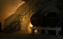 Bé gái 13 tuổi mất tích được tìm thấy trong chiếc hộp phủ vải ở tầng hầm một ngôi nhà