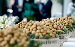 Đặc sản triệu đô của Việt Nam được Trung Quốc siêu mê, mệnh danh là 'vương giả chi quả', diện tích trồng hơn 68.000 ha