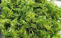 Loại rau tốt như thuốc bổ, người Trung Quốc ví là "rau trường sinh": Mọc dại đầy Việt Nam, ít người biết