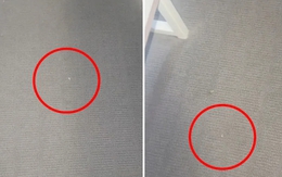 Chủ nhà đến kiểm tra, người thuê bị hạch sách đủ đường vì trên thảm có 3 vết bụi nhưng như thế vẫn chưa phải yêu cầu vô lý nhất