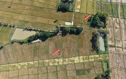 Cánh đồng gần chùa bỗng đổi dạng trong một đêm, dân làng xôn xao "chưa từng thấy bao giờ"