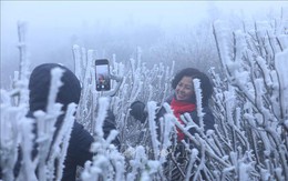 Miền Bắc đã xuất hiện băng giá sớm: Không phải ở Fansipan, đây cũng là điểm du lịch nổi tiếng Việt Nam