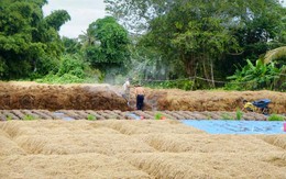 Gỡ 'nút thắt' cho hàng trăm tấn rơm rạ, mở đường cho kinh tế xanh