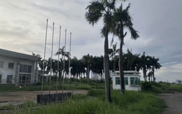 Số phận siêu dự án của đại gia Hứa Thị Phấn