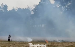 Xót xa 'kho vàng' bị đốt bỏ, vừa lãng phí lại gây ô nhiễm môi trường