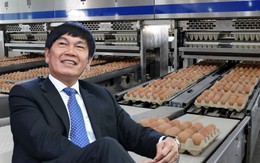 Quân bài mới của ông Trần Đình Long: Công ty nông nghiệp lãi nghìn tỷ, định giá vượt vốn hóa Dabaco, BAF Việt Nam