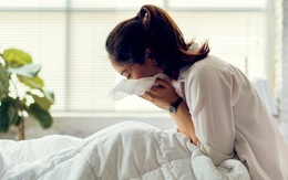 Bạn thân xin ở nhờ, 3 tháng sau cô ấy mang thai và cái tên trong giấy siêu âm khiến tôi choáng váng