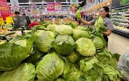 Giá rau tăng cao khiến nhiều người lo ngại: Phó giáo sư dinh dưỡng tiết lộ giải pháp bất ngờ