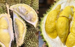 So sánh sầu Thái và sầu Ri6, loại nào ngọt và béo hơn?