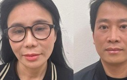 Buôn lậu mỹ phẩm, vợ chồng chủ thẩm mỹ viện Mailisa đối diện mức án nào?