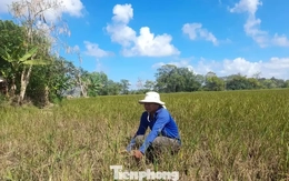 Biến đổi khí hậu diễn ra nhanh và nghiêm trọng hơn mọi dự báo