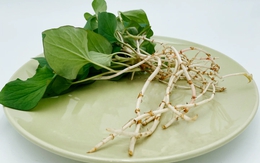 Loại rau người Trung Quốc ví là "rau thần": Mọc đầy Việt Nam nhưng nhiều người sợ không ăn