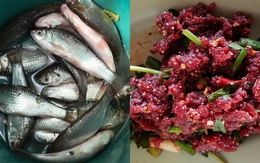 2 loại cá làm tăng nguy cơ mắc ung thư: Là món ‘khoái khẩu’ của nhiều người