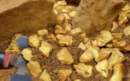 Phát hiện 150 tấn vàng trị giá hơn 120.000 tỷ đồng, cảnh sát lập tức phong tỏa khu vườn của một nông dân