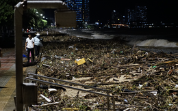 Cảnh tượng không thể tin nổi dọc bãi biển đẹp nhất Nha Trang