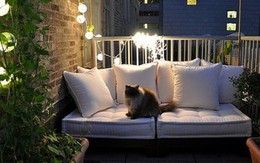 Cứ 11h đêm hàng xóm lại ra ban công đứng đúng 5 phút, phát hiện lý do tự nhiên tôi kiếm bội tiền