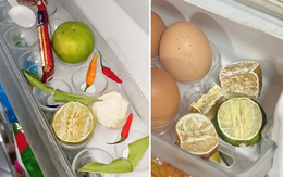 Trung bình cửa tủ lạnh của các gia đình Việt Nam đều có 1 thứ: Hóa ra có tác dụng bất ngờ