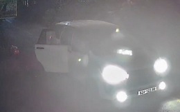 Camera an ninh bắt trọn khoảnh khắc đối tượng đi ô tô nhanh tay trộm chó ở Tây Ninh