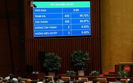 Quốc hội thông qua 4 luật, quy định các trường hợp có thể bị dẫn độ