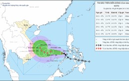 Tin mới nhất về cơn bão số 15: Nhiều tỉnh, thành sẽ có mưa lớn