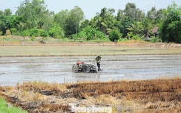 Sức khỏe đất suy yếu, chuyên gia bàn giải pháp cứu Đồng bằng sông Cửu Long